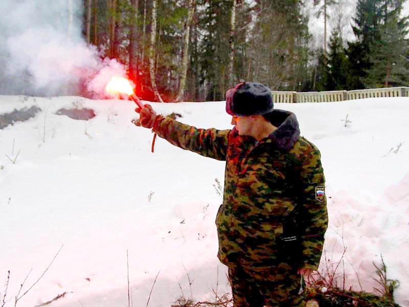 Forest Flares