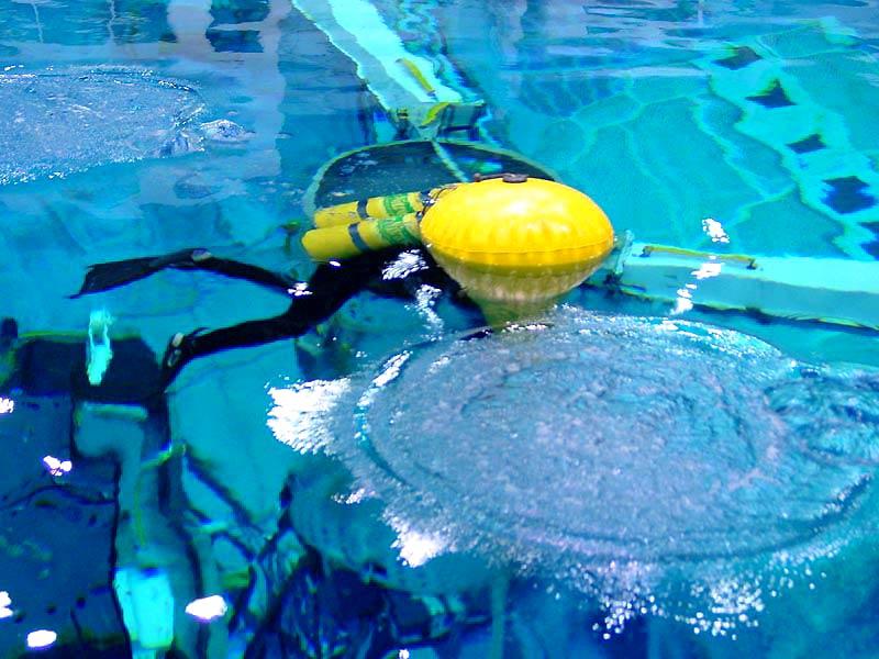 Diving in the NBF