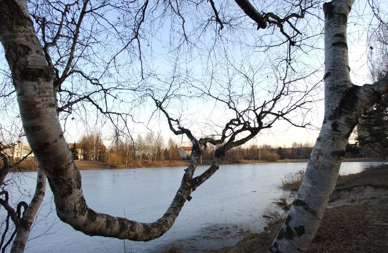 Frozen Lake