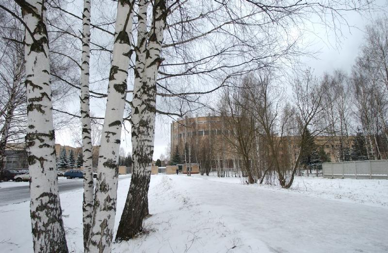 Winters Day