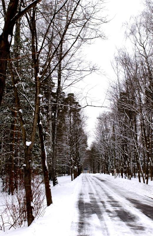 Snow-covered Road
