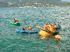 Bobbing on the Black Sea