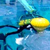 Diving in the NBF