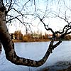 Frozen Lake