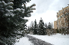 Snow-covered Path