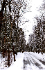 Snow-covered Road